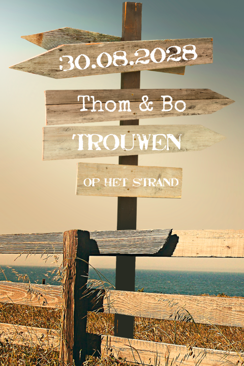 Vrolijke trouwkaart met wegwijzer