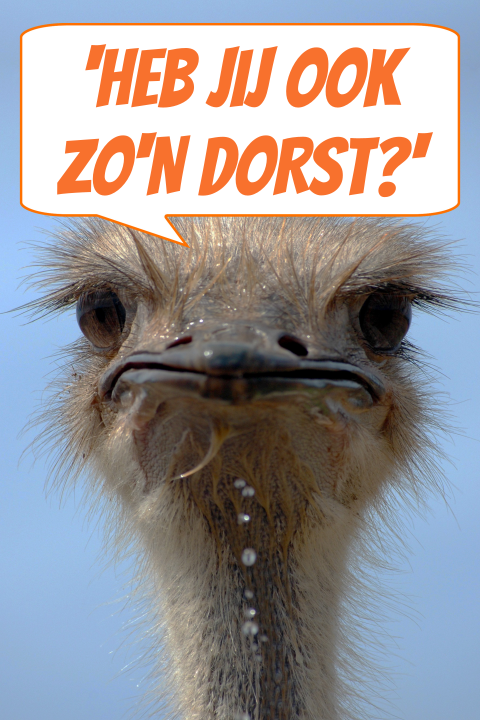 Stuur deze komische uitnodiging
