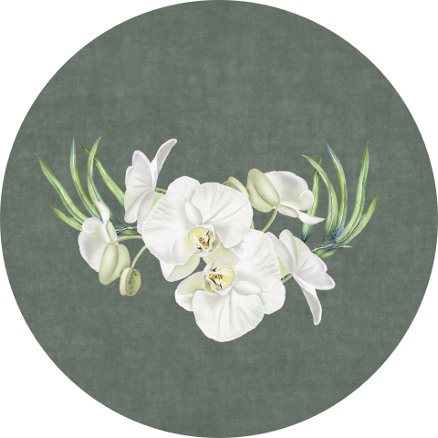 Sluitzegel orchidee wit
