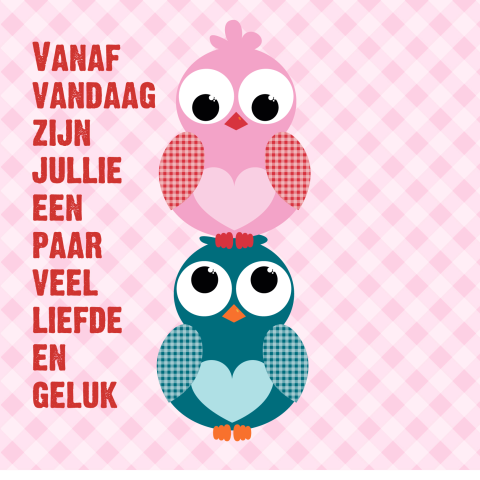 Wenskaart voor bruidspaar met vogeltjes en ruiten