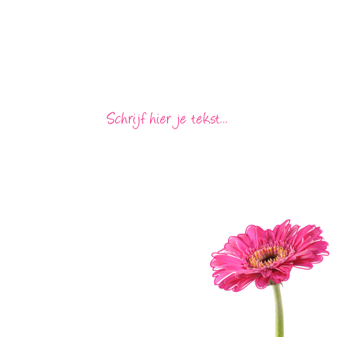 Kaart binnenkant