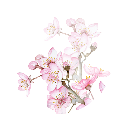 Sluitzegel witte duiven roze bloesem.