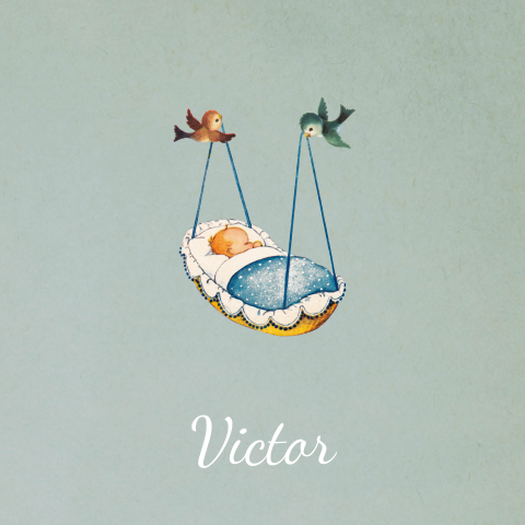 Lief geboortekaartje met vogels die blauw wiegje dragen
