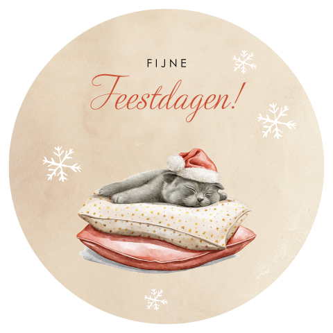 Ronde kerstkaart met slapende kat op kussens