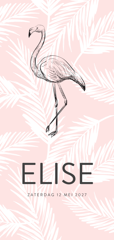 Roze geboortekaartje meisje met flamingo