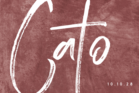Bordeaux geboortekaartje met opvallende typografie