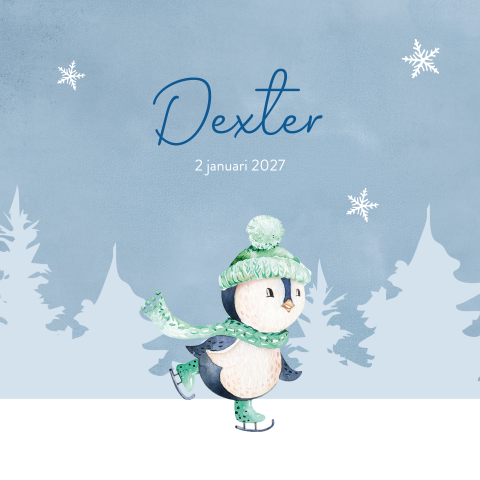 Lief geboortekaartje jongen met winters landschap en pinguin