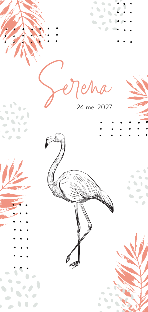 Geboortekaartje roze bladeren met flamingo