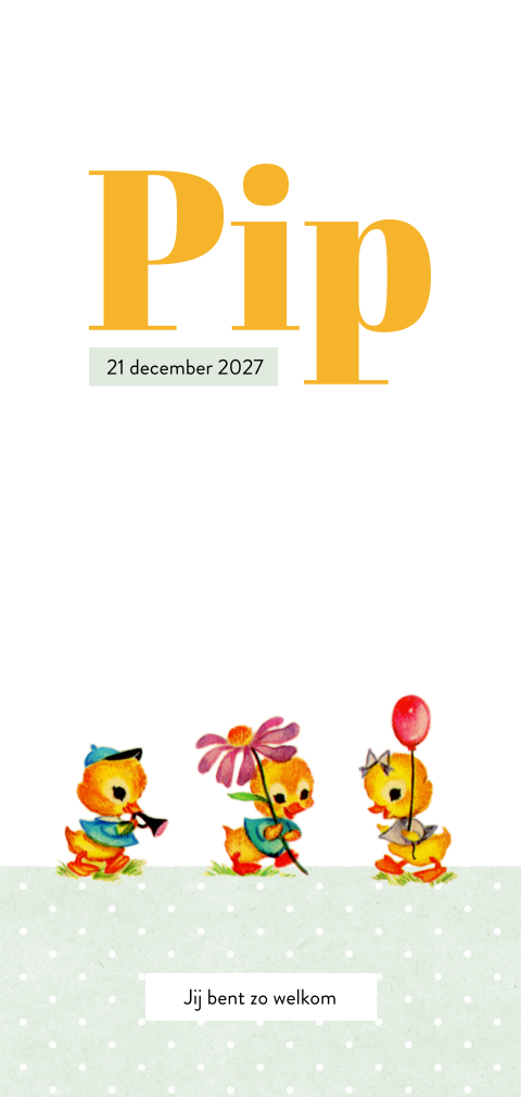 Retro geboortekaartje met schattige eendjes en gele typografie