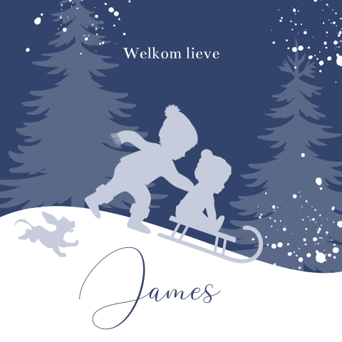 Winter babykaartje twee broertjes in de sneeuw