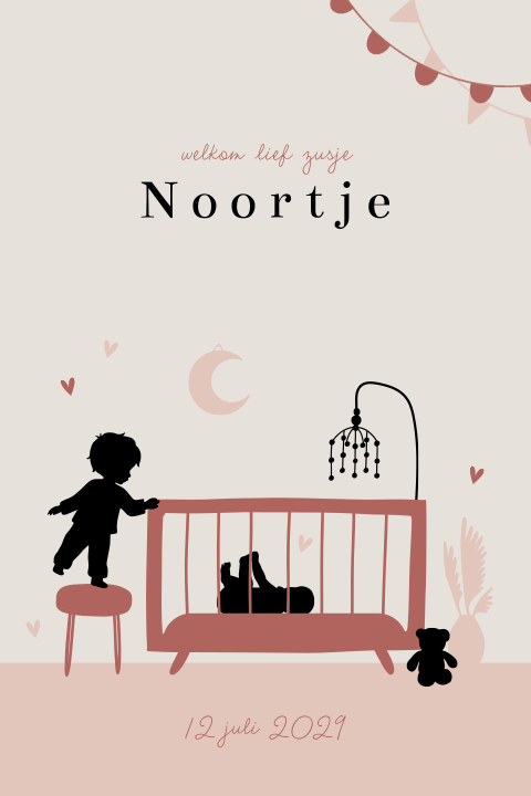 Geboortekaartje baby meisje in wieg met grote broer