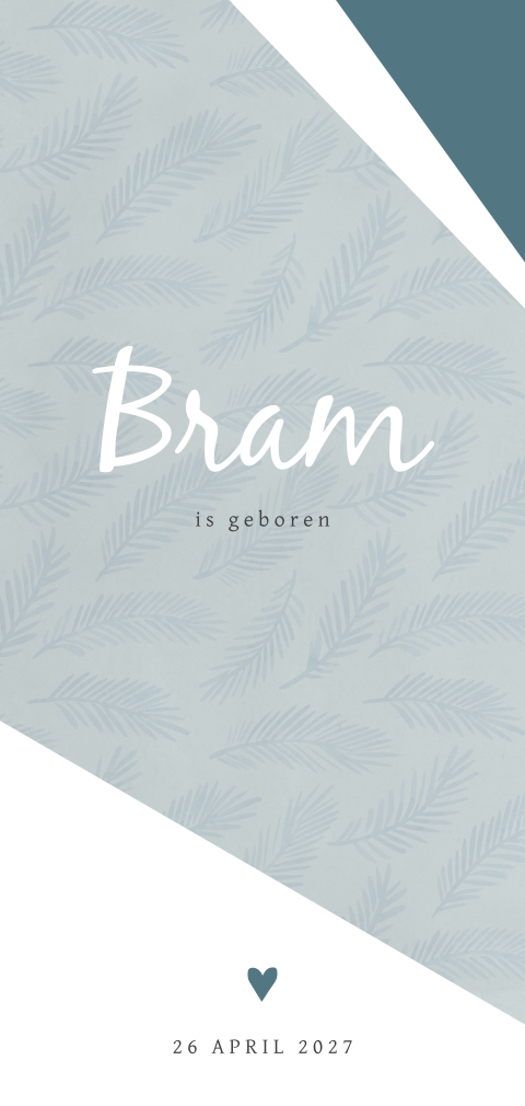 Grafisch geboortekaartje meisje met blauwe veertjes