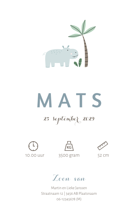 Schattig geboortekaartje met nijlpaard en palmboom