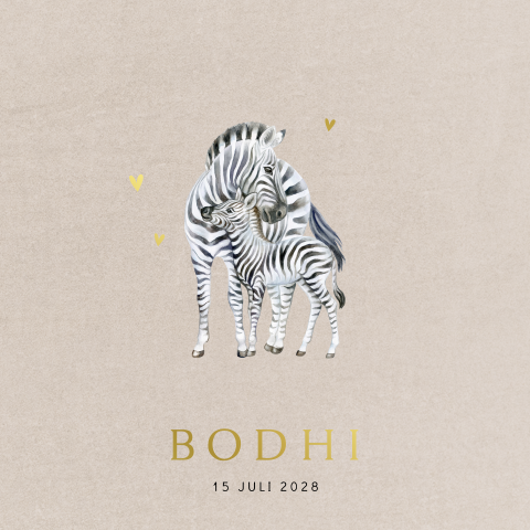 Beige geboortekaartje met zebra's