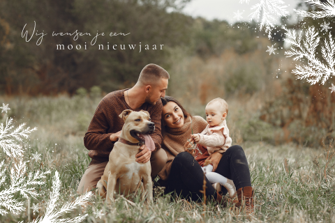 Foto kerstkaart met witte takjes en spetters