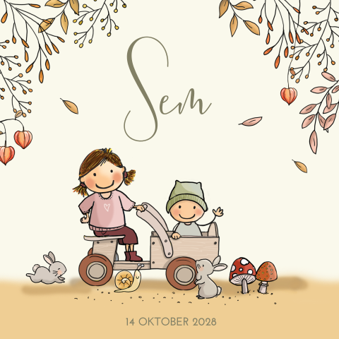 Geboortekaartje herfst jongen houten kar zus