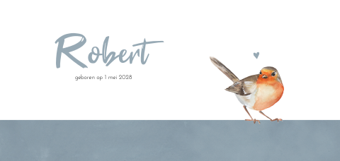 Geboortekaartje met roodborstje en blauwe typografie