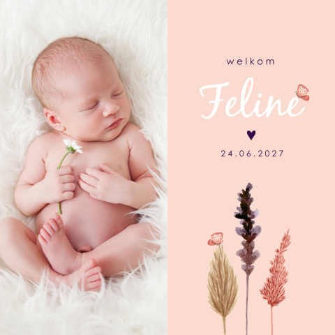 Roze geboortekaartje met vlinders en gedroogde bloemen