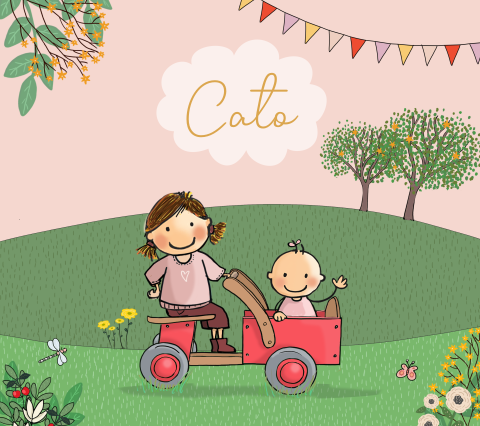Geboortekaartje grote zus met baby zusje bakfiets