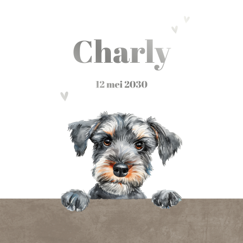 Geboortekaartje met hond (Snauzer)