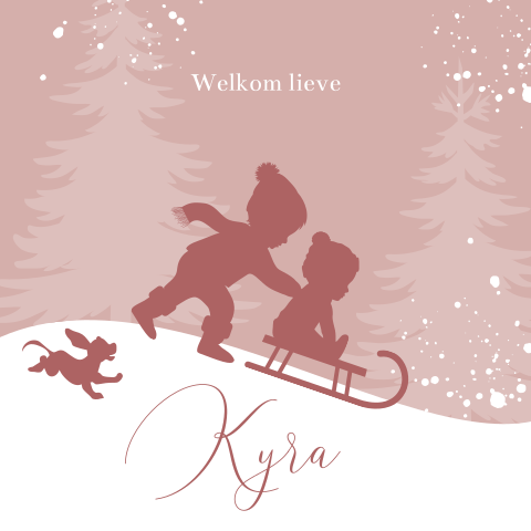 Winter babykaartje broer met baby zusje op slee in de sneeuw
