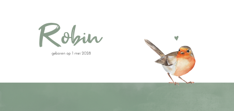 Geboortekaartje met roodborstje en groene typografie