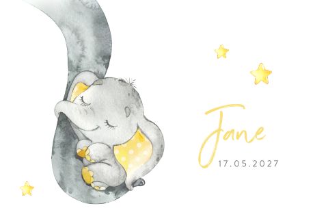 Lief geboortekaartje met olifantje in slurf voor een meisje