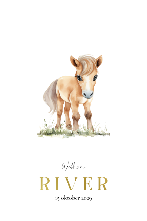Geboortekaartje met paard | kaartje met veulen in aquarelstijl