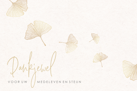 Stijlvolle bedankkaartjes na overlijden met ginkgo
