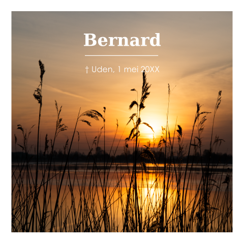 Rouwkaart zonsopgang water en riet