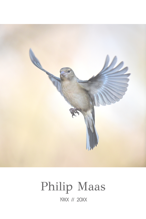 Rouwkaart met vogel en gedicht