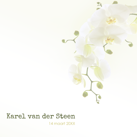 Rouwkaart witte orchidee