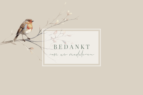 Bedanktkaart na overlijden met magnolia en vogeltje
