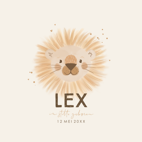 Baby rouwkaart met stoer leeuwtje en mooie typografie