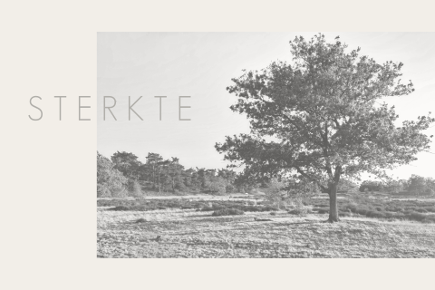 Wenskaart sterkte boom zwart-wit