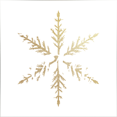 Zilveren kerstbal met kerstster en naam van je dierbare
