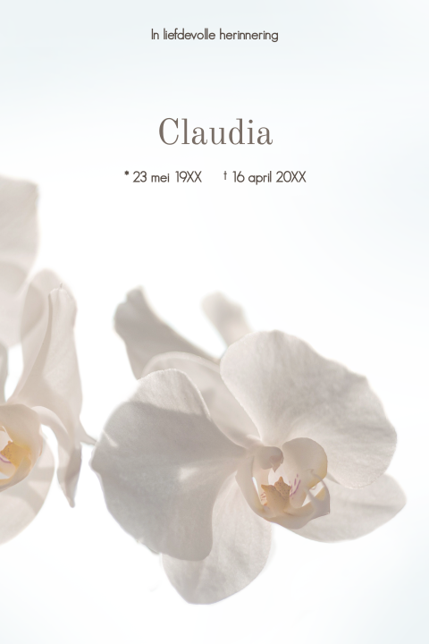 Rouwkaart met foto van witte orchidee