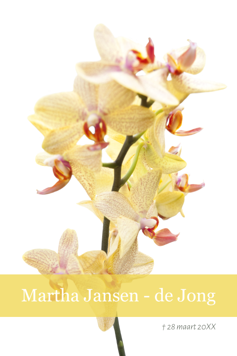 Rouwkaart orchidee bloemen illustratie
