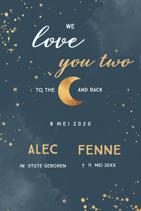 Baby rouwkaartje tweeling love you to the moon and back