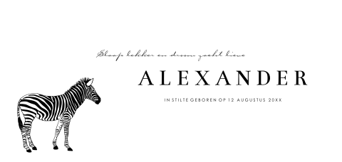 Minimalistisch babyrouwkaartje met zebra en typografie
