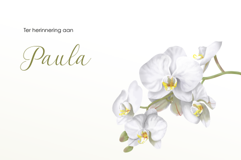Bedankkaartjes na overlijden met illustratie van orchidee
