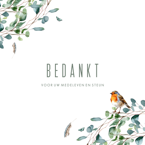 Bedankkaartjes botanisch met vogel en veertjes