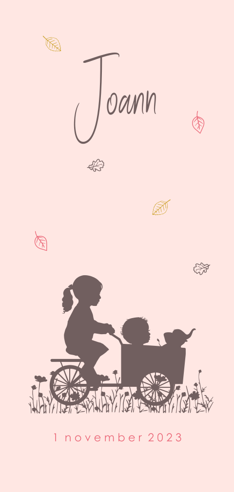 geboortekaartjes 2e zusje met baby silhouet bakfiets meisje zusje