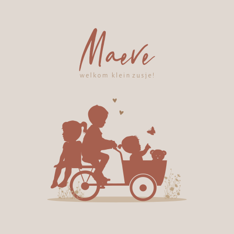 geboortekaartjes meisje bakfiets zusje broer knuffel