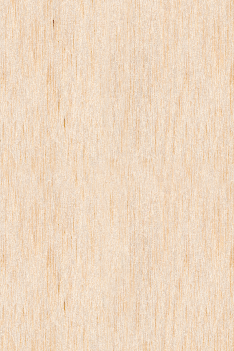blanco-enkel-staand-hout