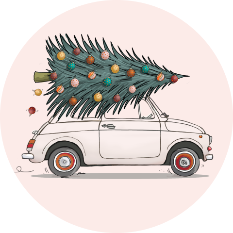 Sluitzegel fiat 500 wit