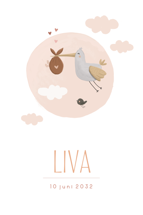 geboortekaartjes meisje mooie potloodtekening ooievaar baby