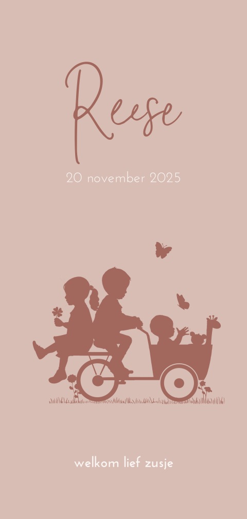 geboortekaartje meisje bakfiets broer zusje knuffels