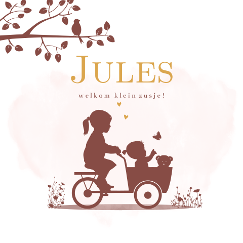 geboortekaartjes meisje bakfiets zusje knuffel