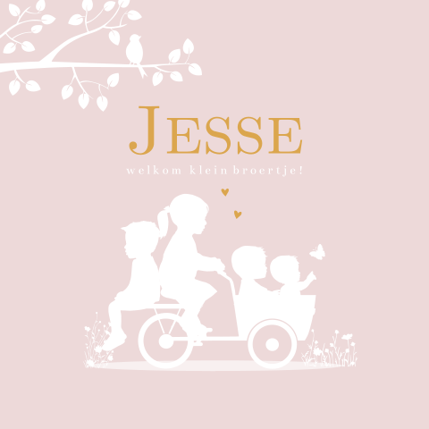 Geboortekaartje meisje bakfiets broertjes zusje knuffel